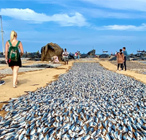 Fishing Site Negombo