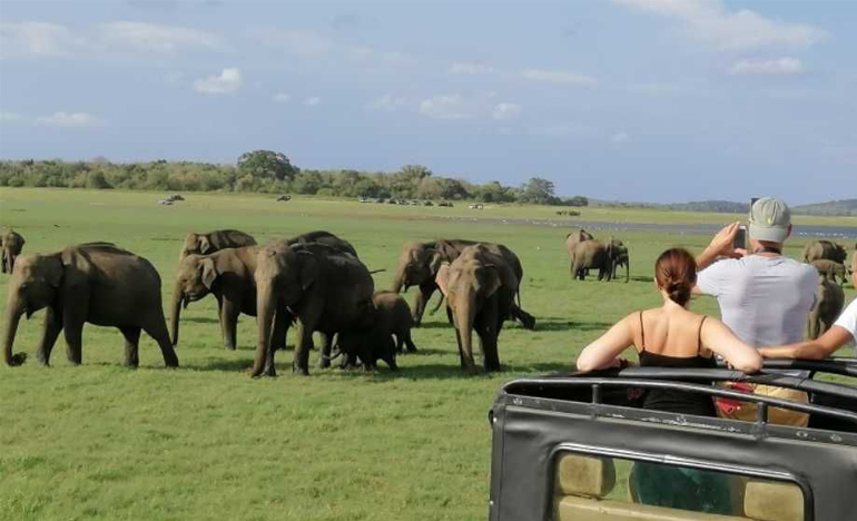 Jeep Safari Yala Nationala park