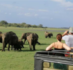 Jeep safari Yala nationala Park