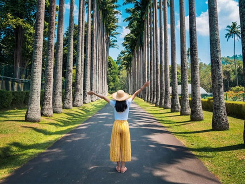 Peradeniya - Gardens